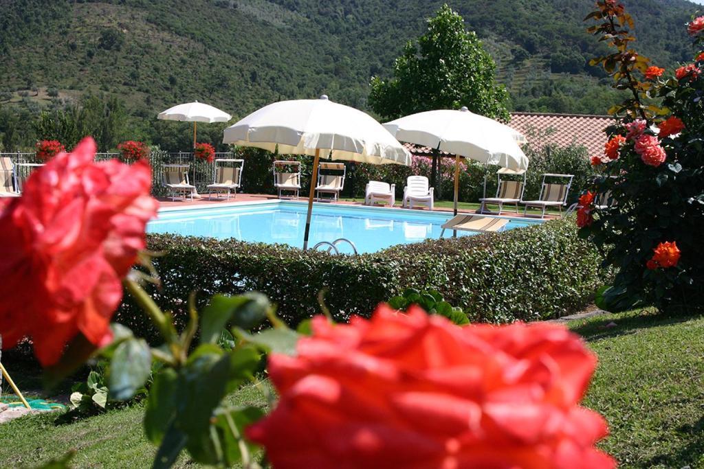 Agriturismo Cortoreggio Cortona Bagian luar foto