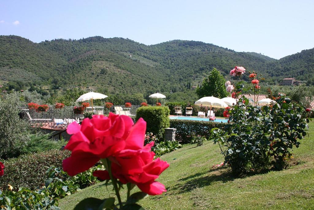 Agriturismo Cortoreggio Cortona Bagian luar foto