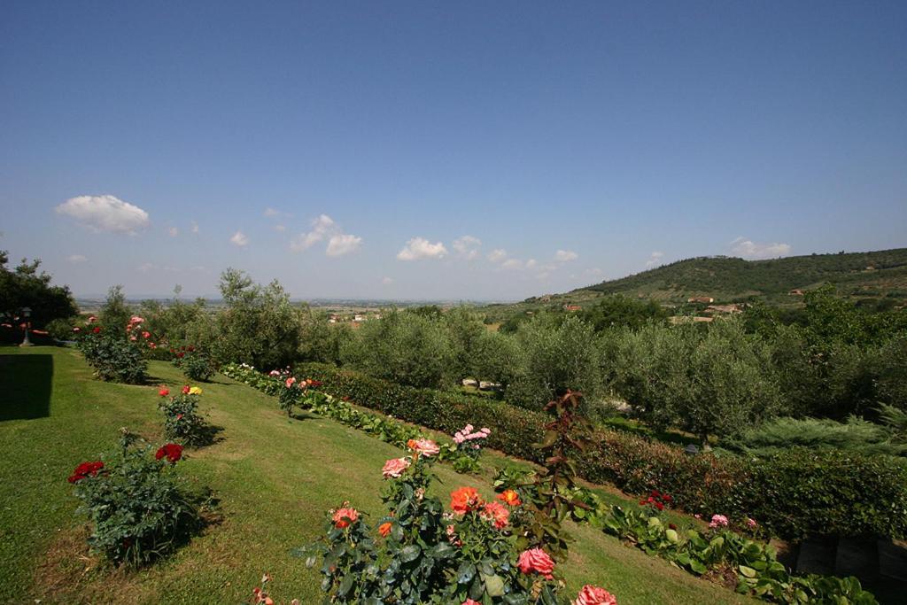 Agriturismo Cortoreggio Cortona Bagian luar foto