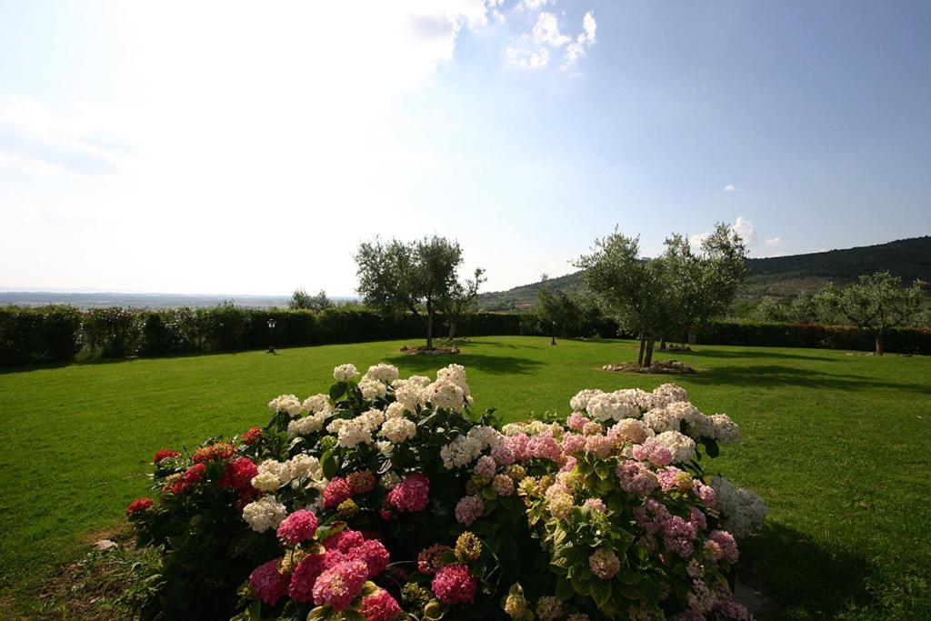 Agriturismo Cortoreggio Cortona Bagian luar foto