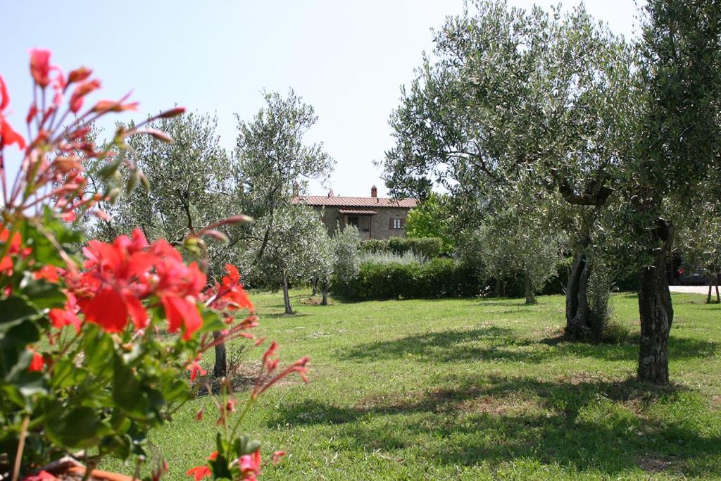 Agriturismo Cortoreggio Cortona Bagian luar foto